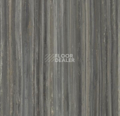 Линолеум Forbo Marmoleum Linear Striato Original 5237 black sheep фото 1 | FLOORDEALER